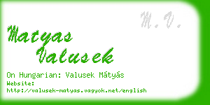 matyas valusek business card