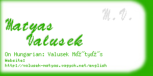 matyas valusek business card